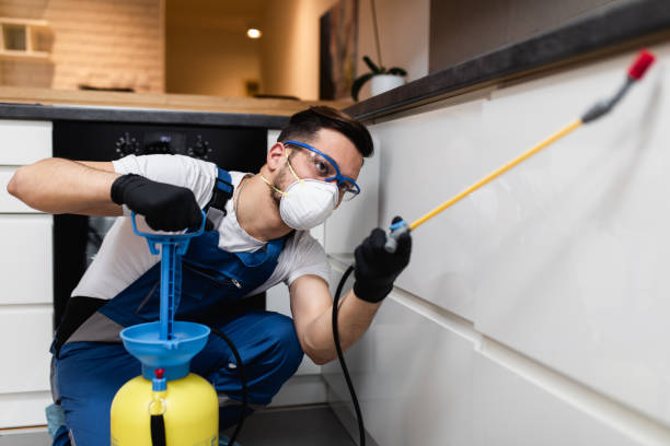 Best Cockroach Control Services  in Fayetteville, AL