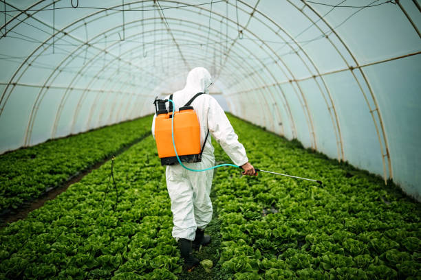 Best Pest Prevention Services  in Fayetteville, AL