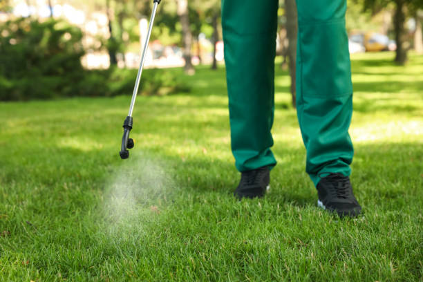 Best Exterminator Services  in Fayetteville, AL