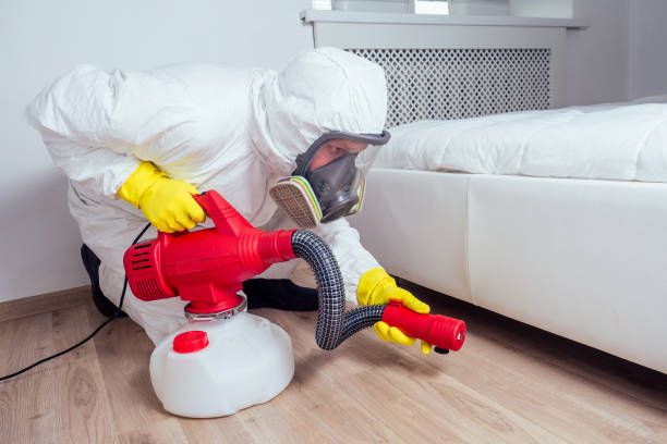 Wasp Removal Services in Fayetteville, AL