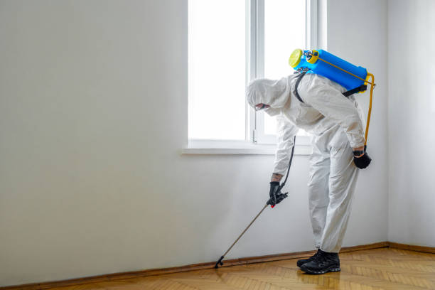 Best Termite Control Services  in Fayetteville, AL