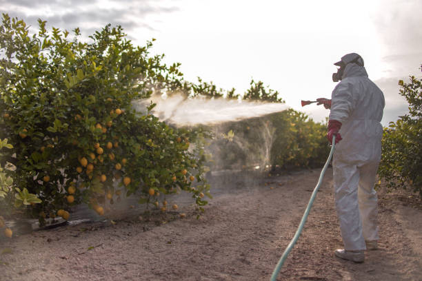 Best Wildlife Control Services  in Fayetteville, AL