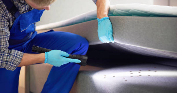 Best Wasp Removal Services  in Fayetteville, AL