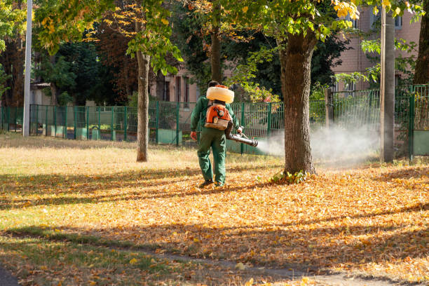 Best Affordable Pest Control Services  in Fayetteville, AL