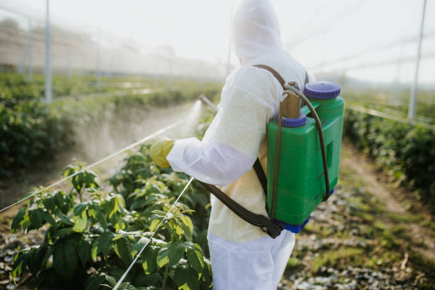 Best Termite Control Services  in Fayetteville, AL
